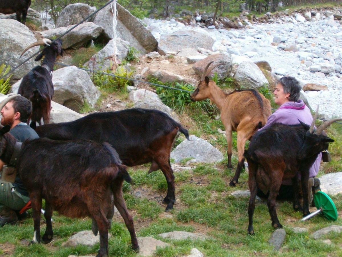 Vakantiehuis Verzaschina Gordola